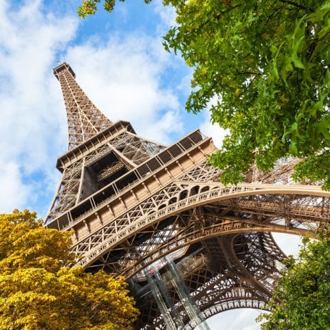 parisiennement nôtre