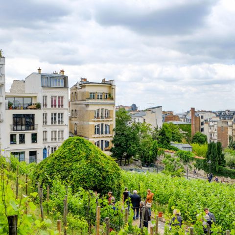 le clos de Montmartre