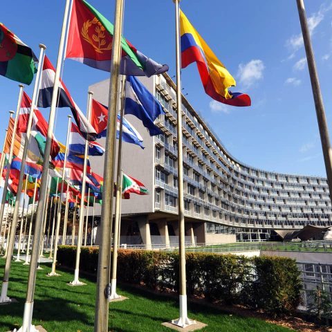 Les coulisses de l'UNESCO