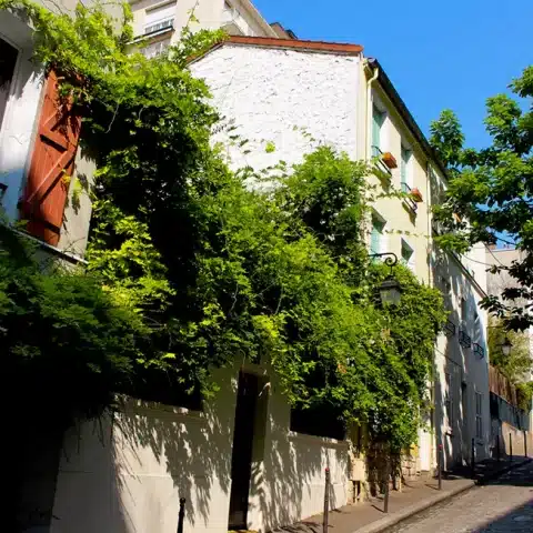 la butte aux cailles