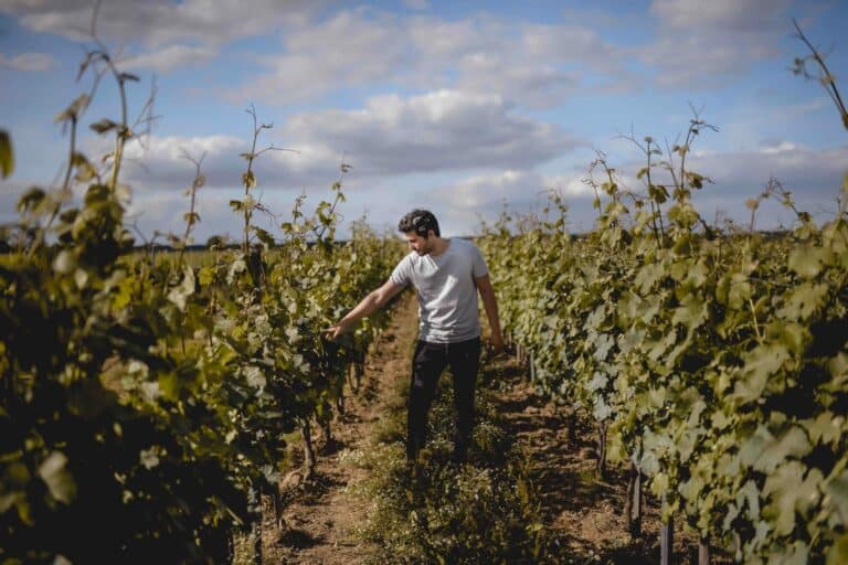 une expérience inoubliable dans la peau d'un vigneron au Domaine La Bouche du Roi.